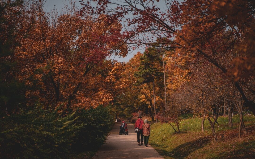 Required Minimum IRA Distributions Will Resume in 2021