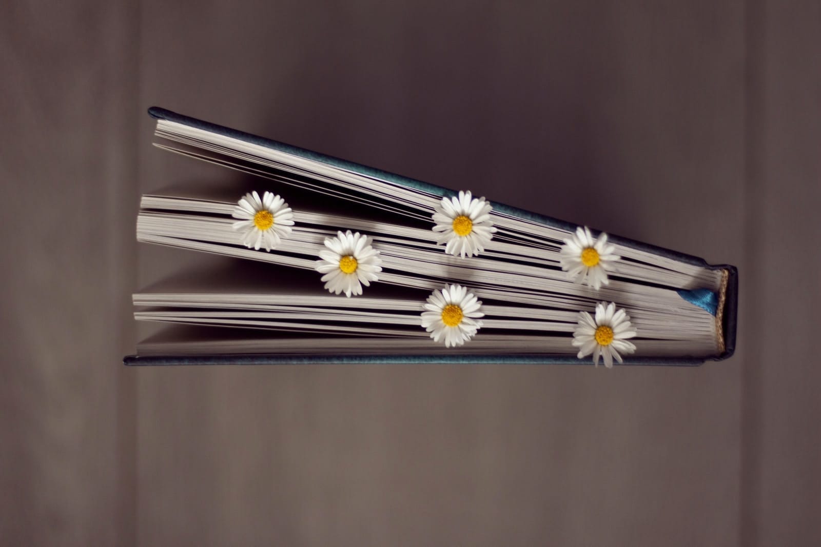 white and yellow flower wall decor