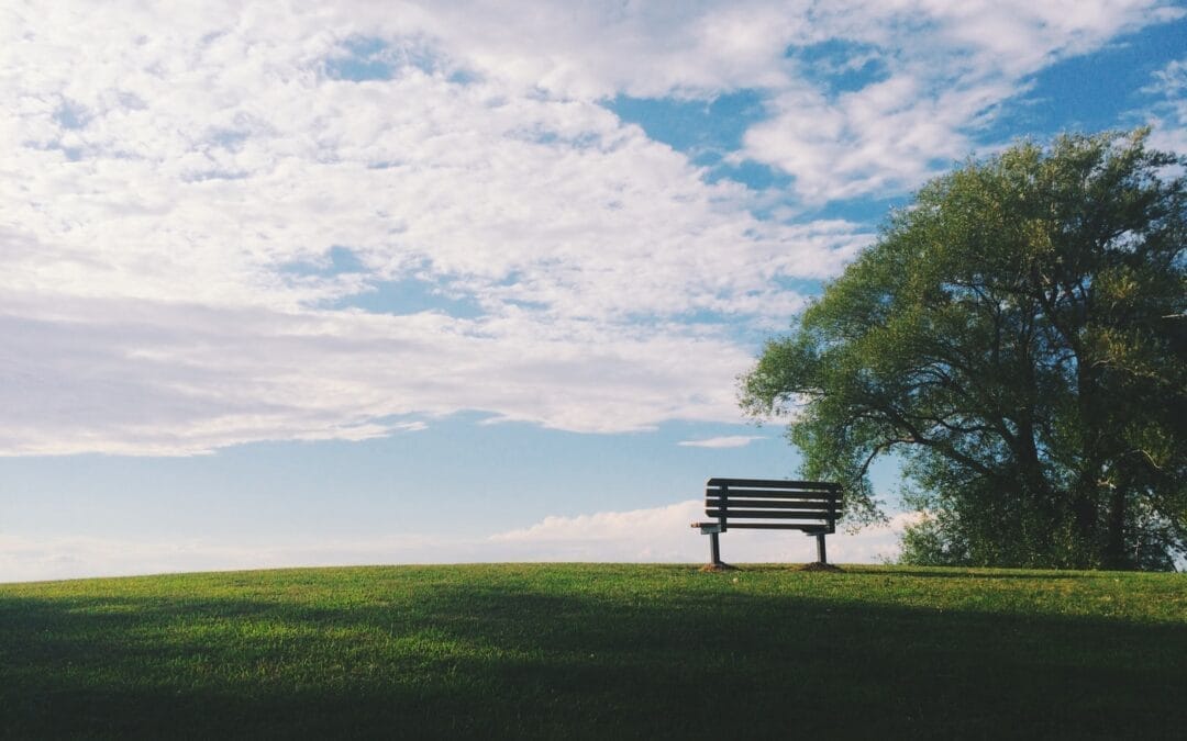 black wooden bench near green leaf trees under white clouds during daytime